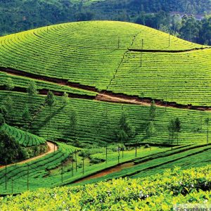 MAGNIFICENT SOUTH 4N/5D